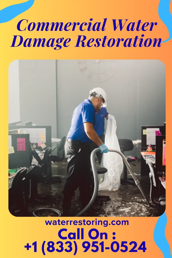 Commercial Water Damage Restoration in Naches, WA