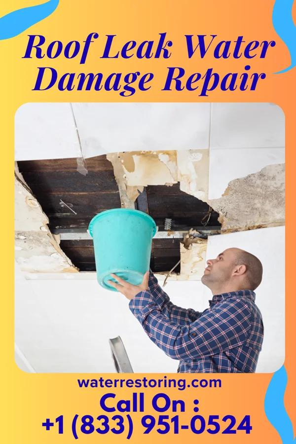 Roof Leak Water Damage Repair in Naches, WA