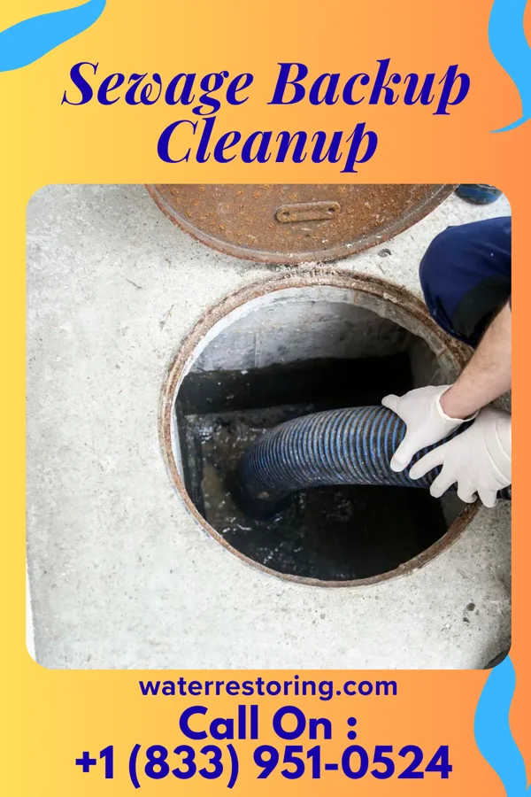 Sewage Backup Cleanup in Naches, WA